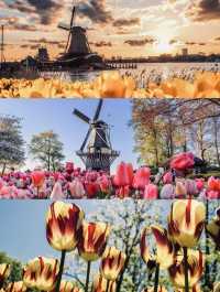 Don't miss out on the most beautiful gardens in spring abroad!!