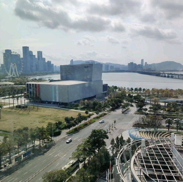 Shenzhen eye view 