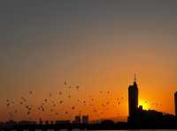 Seagulls and Sunsets: Zhanqiao's Charm 🌅🐦