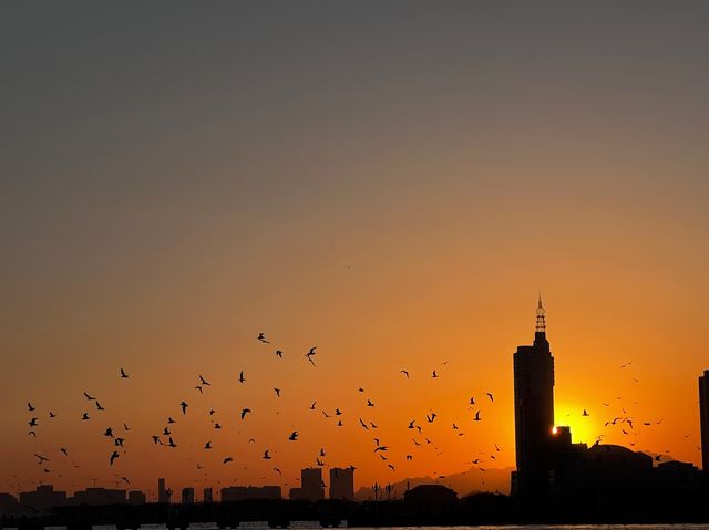 Seagulls and Sunsets: Zhanqiao's Charm 🌅🐦 Seagulls and Sunsets: Zhanqiao's Charm 🌅🐦