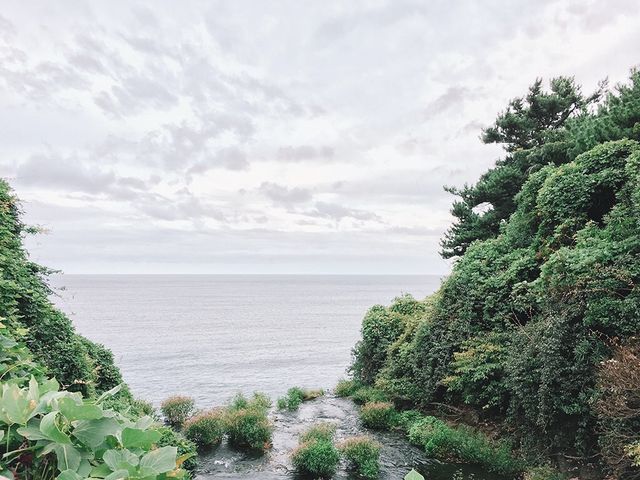 遊濟州🇰🇷西歸浦市海濱藝術公園