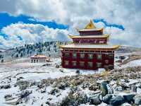魚子西雪景