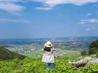 湖南小眾拍照景點“空中花園”