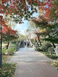 記錄最多院士的城市公園｜院士公園
