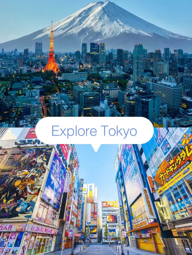 🗼東京について知っていますか？🤫