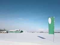 今冬最熱滑雪目的地盤點北海道
