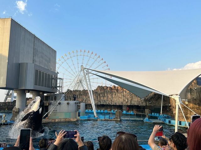 名古屋水族館