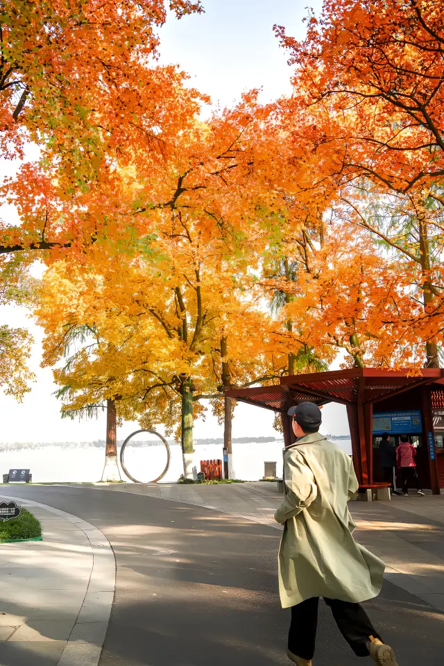 Route guide, 7 things you must know before going to Wuhan East Lake to enjoy autumn