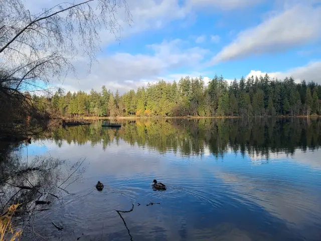 Quiet moments at Lost Lake