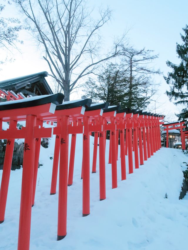  日本小樽必去景點住吉神社白雪配紅色鳥居一定不能錯過