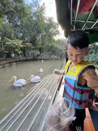 親子遊｜廣州長隆飛鳥樂園