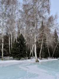 新疆·伊雷木湖｜伊雷木湖的雪景，待一整個冬季我都不會膩