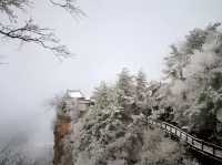 沒有看過雞峰山落雪景色，怎能算是完美的冬天呢