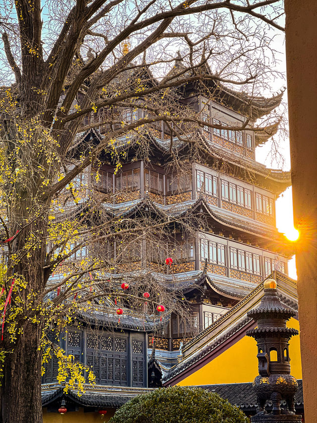 秋天,去莊嚴寺看古銀杏嗎? 秋天,去莊嚴寺看古銀杏嗎?