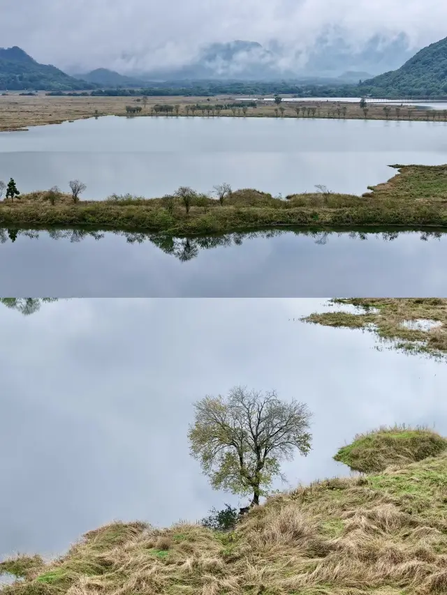 Shennongjia | You must visit Dajiuhu Lake, a picturesque landscape in the world