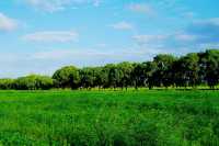 秋日打卡上海莊行（農藝）郊野公園