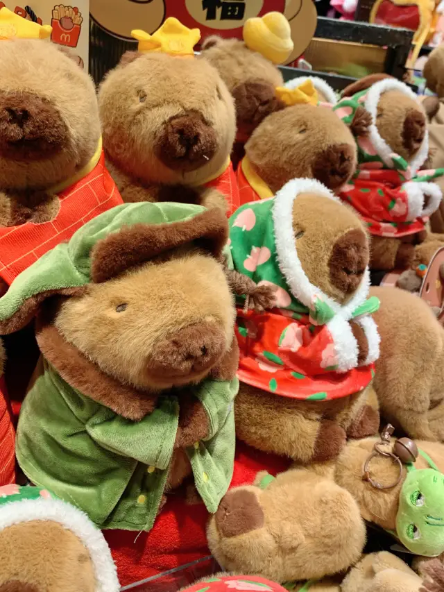 Happy New Year, good luck pig, the northeast wind Capybara is super cute
