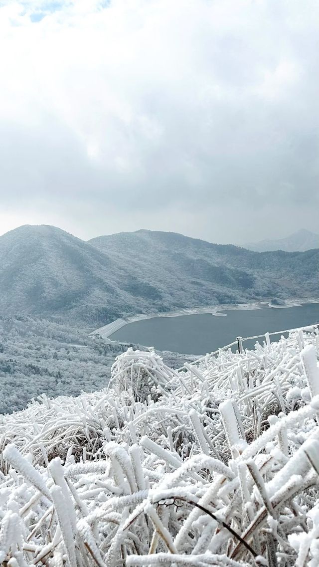 杭州“川西”——浙西天池 內附保姆級攻略｜