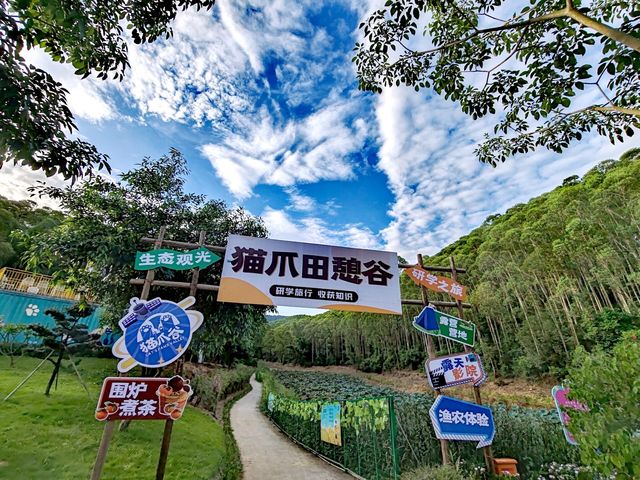 肇慶高要｜貓爪谷｜逃離城市計劃