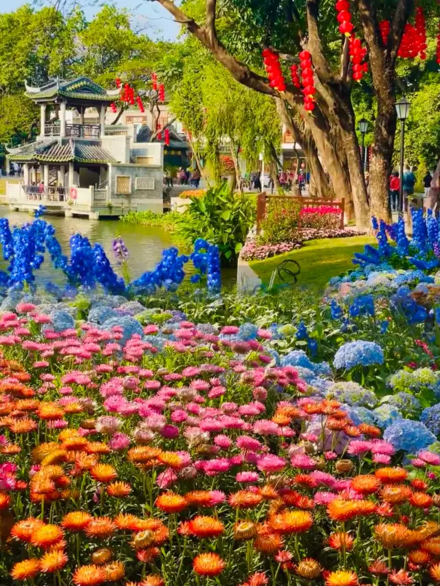 Guangzhou has already ushered in spring for you, full of flowers all over the city