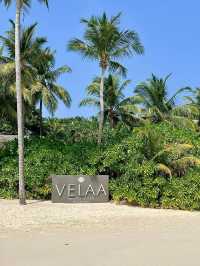馬爾代夫維拉私人島VELAA Private Island