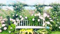 大理貓咪花園