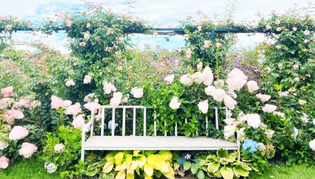 大理貓咪花園