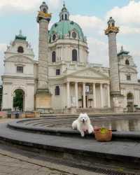 Polar bear in Vienna, Austria 🇦🇹😍 Experience the ultimate coolness as we take you on a journey to Vienna,