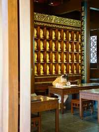 我在玉佛寺求offer打工人的一場周末修行