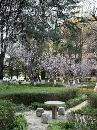 國保打卡：雲南大學會澤院（國八）