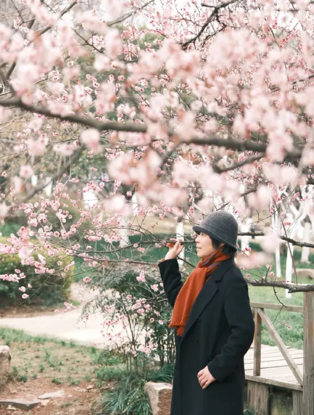 봄에는 반드시 우한에 가서 분홍색의 낭만을 느껴야 해요
