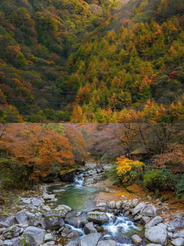 一定要去一次光雾山最美的紅葉