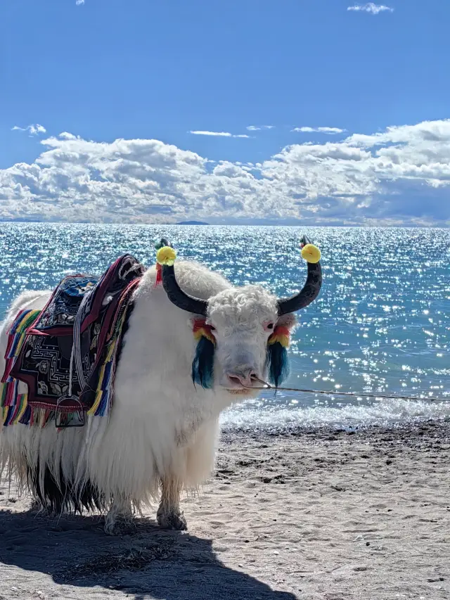 Tibet | Will you regret not visiting the Holy Elephant Gate on your trip to Namtso?