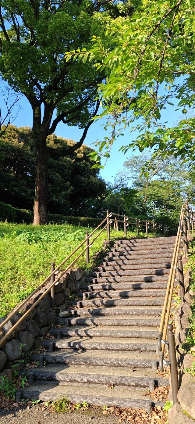 【夏日東京綠】黃昏時的飛鳥山公園，一派金色抹茶綠～