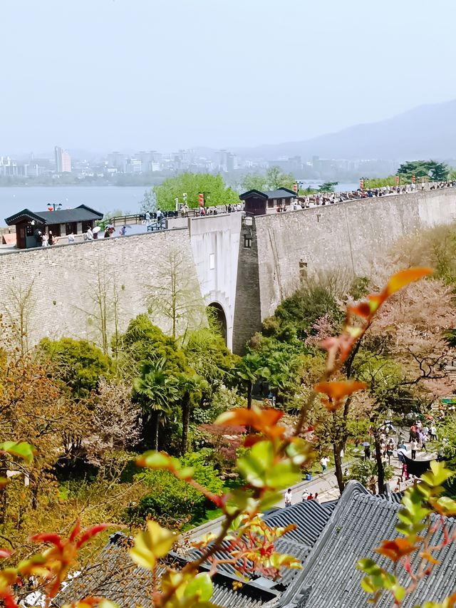 沒有櫻花的雞鳴寺，啥也不是—南京雞鳴寺的不值得