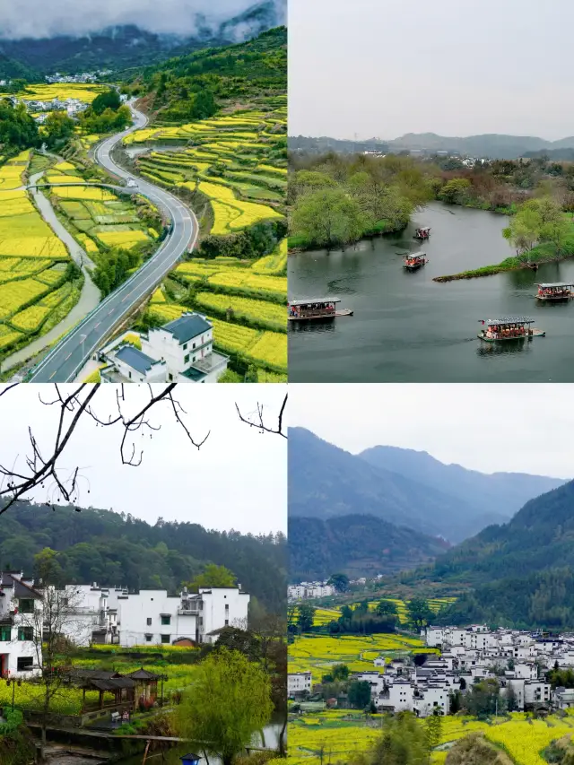 Spring has arrived, and it's time to visit Wuyuan to see the hills covered with rapeseed flowers!