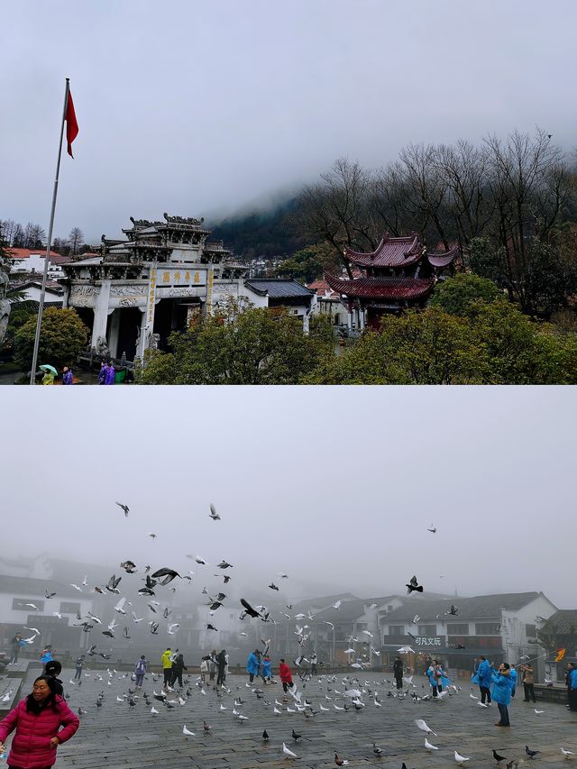 九華山祈福丨一日遊攻略丨不要錯過