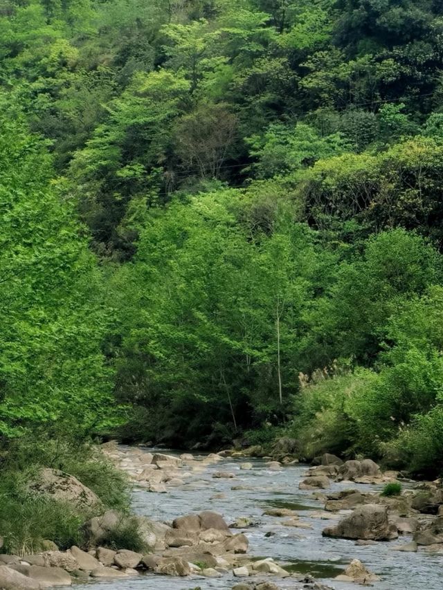 探尋大邑馬橋村