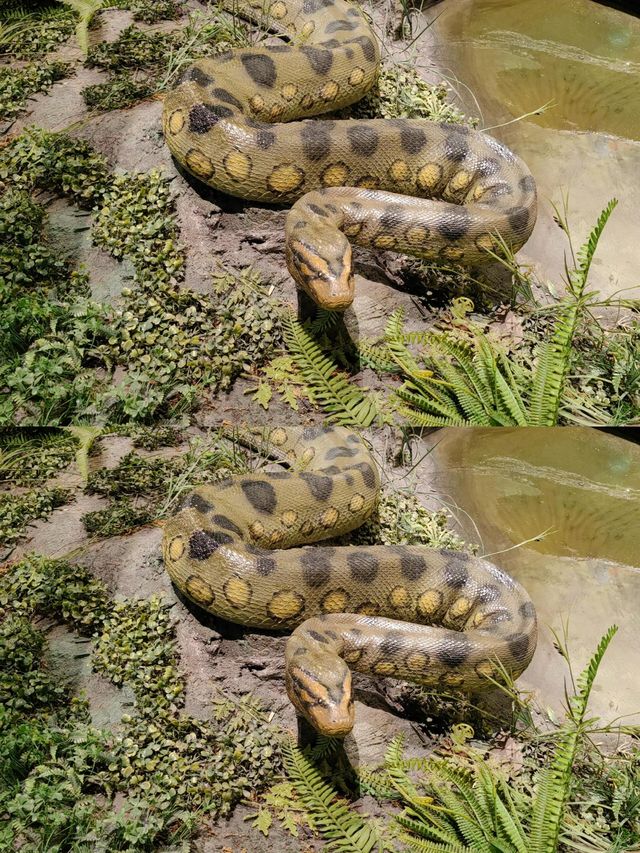 武漢自然博物館，不知道的還以為我來到了動物園