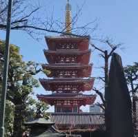 五日四夜東京行，探尋科技和文化的魅力之都