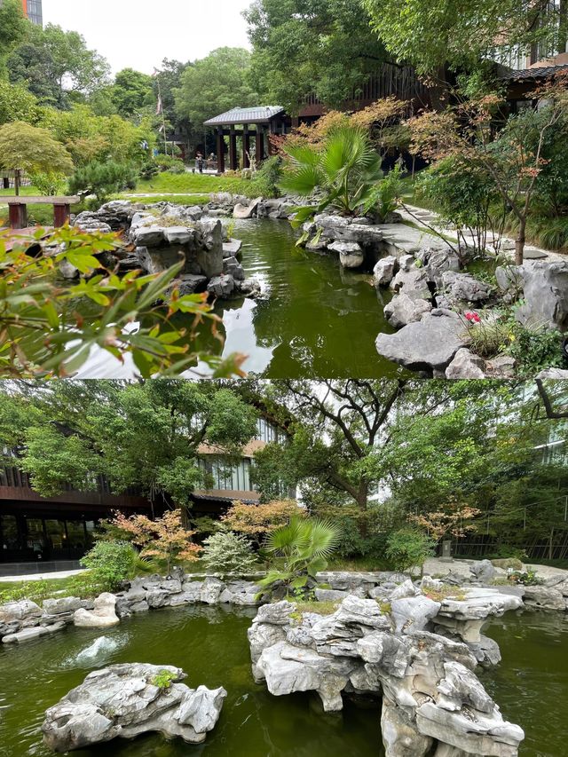 在上海市中心 在上海市中心