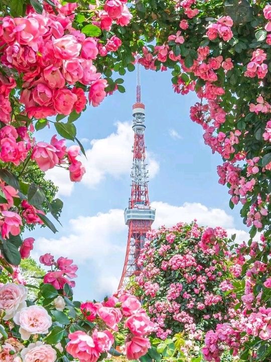 Flowery Tokyo Shiba Park Japan 😍♥️🇯🇵