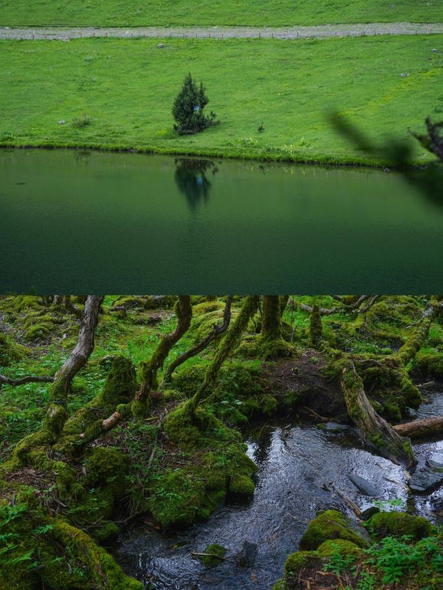 綠野仙蹤·無底湖