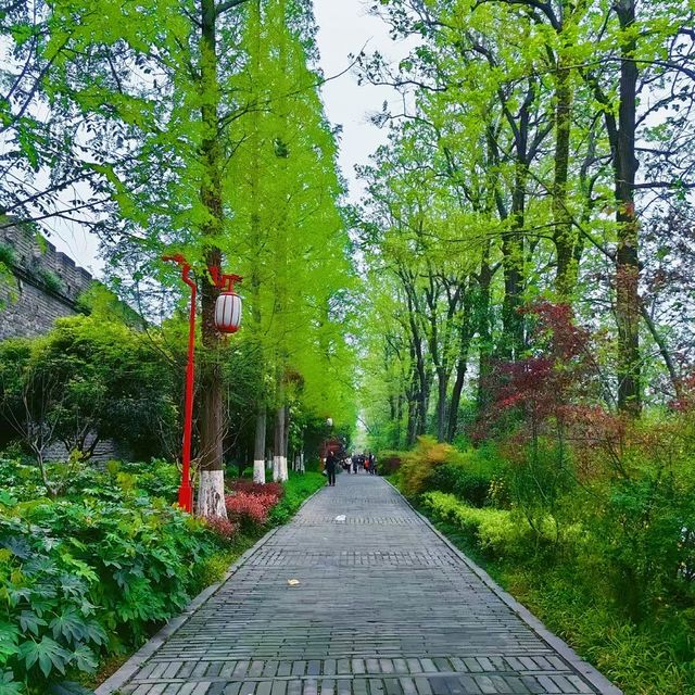 去逛公園去哪裡？去上海市徐匯區淮海中路襄陽公園