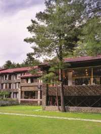 🌟 Pahalgam's Premier Stay: Welcomhotel Pine N Peak 🏔️