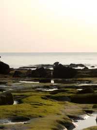 北海涠洲島攻略·還有誰不知道這座寶藏海島。