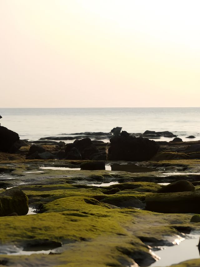 北海涠洲島攻略·還有誰不知道這座寶藏海島。