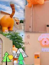 來躲貓ya這裡驚現超大貓