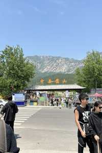 世界文化遺產——啟母闕