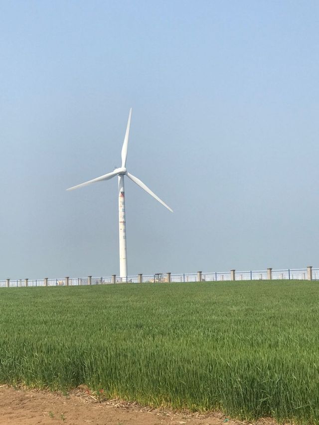 尋找內心的寧靜 只有這裡～